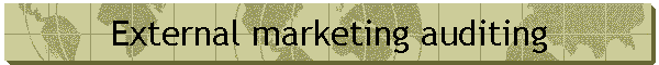 External marketing auditing