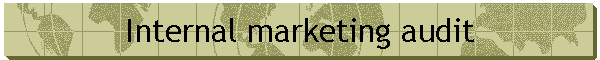 Internal marketing audit